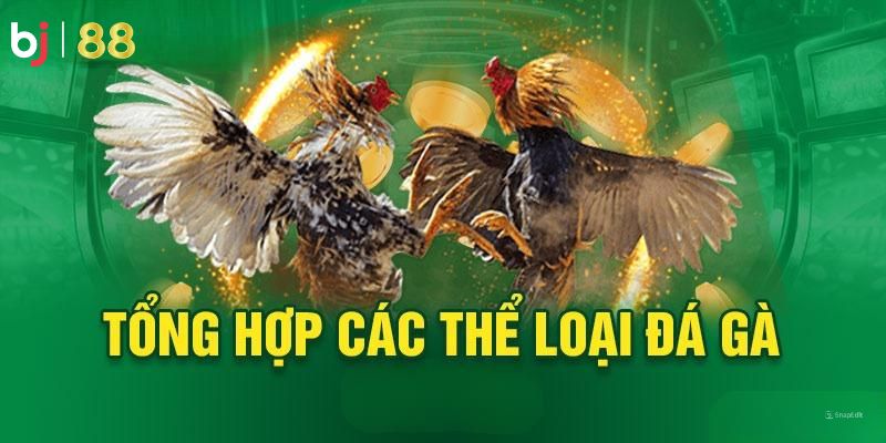 Các sảnh BJ88 đá gà hấp dẫn, đảm bảo chất lượng cao